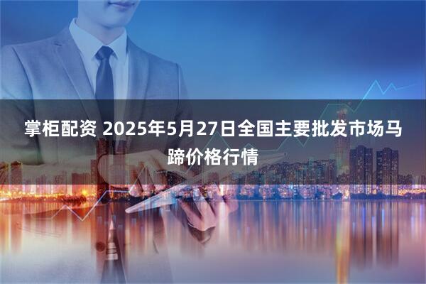 掌柜配资 2025年5月27日全国主要批发市场马蹄价格行情