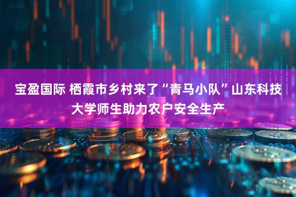 宝盈国际 栖霞市乡村来了“青马小队”山东科技大学师生助力农户安全生产