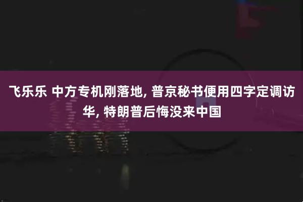 飞乐乐 中方专机刚落地, 普京秘书便用四字定调访华, 特朗普后悔没来中国