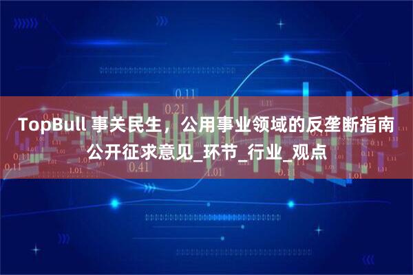 TopBull 事关民生，公用事业领域的反垄断指南公开征求意见_环节_行业_观点