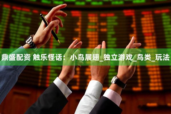 鼎盛配资 触乐怪话：小鸟展翅_独立游戏_鸟类_玩法